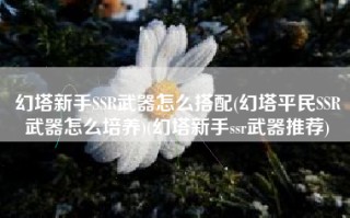 幻塔新手SSR武器怎么搭配(幻塔平民SSR武器怎么培养)(幻塔新手ssr武器推荐)
