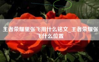 王者荣耀里张飞用什么铭文_王者荣耀张飞什么位置