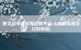 翼支付申请延期还款方法(土地款延期支付的申请)