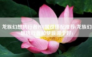 龙族幻想执行者PVE属性搭配推荐(龙族幻想执行者和梦貘哪个好)