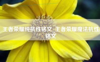 王者荣耀纯抗性铭文_王者荣耀魔法抗性铭文