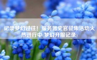 记录梦幻过往！服务器史官征集活动火热进行中(梦幻开服记录)