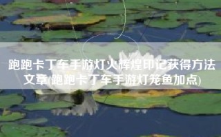 跑跑卡丁车手游灯火辉煌印记获得方法文章(跑跑卡丁车手游灯笼鱼加点)