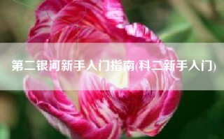 第二银河新手入门指南(科二新手入门)
