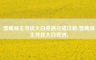 雪鹰领主寻找大白奇遇完成攻略(雪鹰领主寻找大白奇遇)