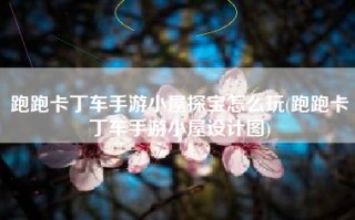 跑跑卡丁车手游小屋探宝怎么玩(跑跑卡丁车手游小屋设计图)
