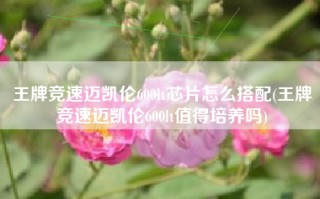 王牌竞速迈凯伦600lt芯片怎么搭配(王牌竞速迈凯伦600lt值得培养吗)