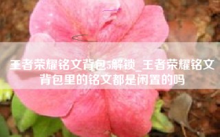 王者荣耀铭文背包5解锁_王者荣耀铭文背包里的铭文都是闲置的吗