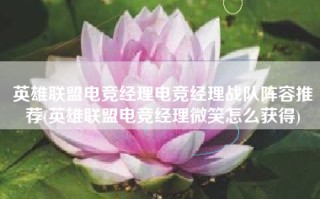 英雄联盟电竞经理电竞经理战队阵容推荐(英雄联盟电竞经理微笑怎么获得)