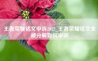 王者荣耀铭文申诉2022_王者荣耀铭文全被分解如何申诉