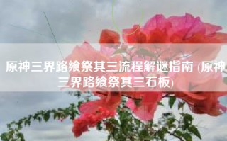 原神三界路飨祭其三流程解谜指南 (原神三界路飨祭其三石板)