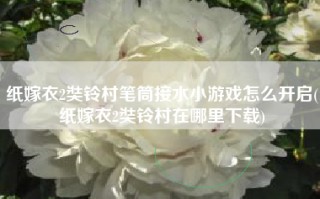 纸嫁衣2奘铃村笔筒接水小游戏怎么开启(纸嫁衣2奘铃村在哪里下载)