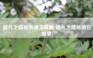 超凡之路秘境通关攻略(超凡之路秘境在哪里)