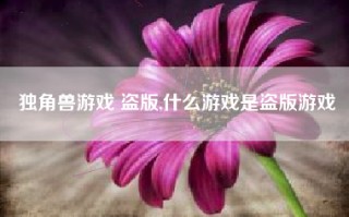 独角兽游戏 盗版,什么游戏是盗版游戏