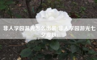 非人学园游光怎么出装(非人学园游光七夕皮肤)