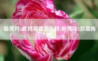 卧龙吟2武将郭嘉怎么样(卧龙吟2郭嘉阵容)