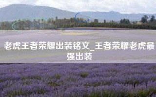 老虎王者荣耀出装铭文_王者荣耀老虎最强出装