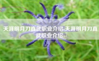 天涯明月刀真武职业介绍(天涯明月刀真武职业介绍)