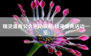 精灵盛典公会活动攻略(精灵盛典活动一览)