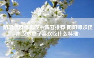 阴阳师妖怪屋茨木阵容推荐(阴阳师妖怪屋茨木童子喜欢吃什么料理)