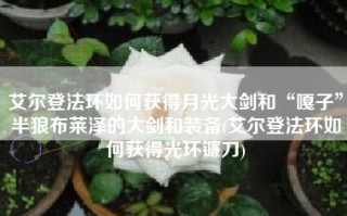 艾尔登法环如何获得月光大剑和“嘎子”半狼布莱泽的大剑和装备(艾尔登法环如何获得光环镰刀)