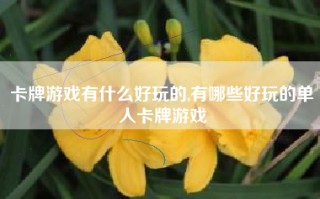 卡牌游戏有什么好玩的,有哪些好玩的单人卡牌游戏