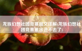 龙族幻想社团竞赛图文详解(龙族幻想社团竞赛退出进不去了)