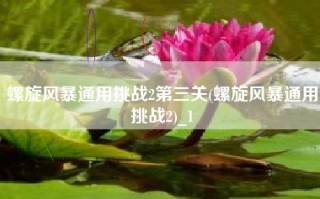 螺旋风暴通用挑战2第三关(螺旋风暴通用挑战2)_1