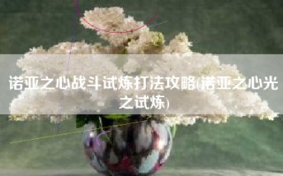 诺亚之心战斗试炼打法攻略(诺亚之心光之试炼)