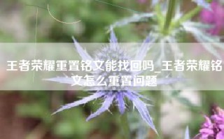 王者荣耀重置铭文能找回吗_王者荣耀铭文怎么重置问题