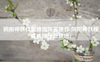 阴阳师妖怪屋推图阵容推荐(阴阳师妖怪屋推图什么意思)