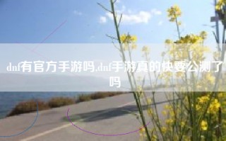 dnf有官方手游吗,dnf手游真的快要公测了吗