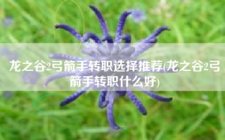 龙之谷2弓箭手转职选择推荐(龙之谷2弓箭手转职什么好)