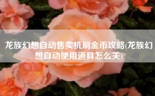 龙族幻想自动售卖机刷金币攻略(龙族幻想自动使用道具怎么关)