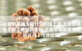 王者新英雄戈娅什么时候上线 王者新英雄戈娅上线时间介绍(王者荣耀新英雄戈娅或将上线体验服)