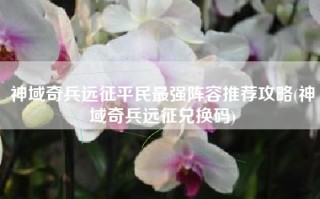 神域奇兵远征平民最强阵容推荐攻略(神域奇兵远征兑换码)