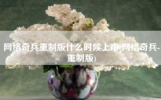 网络奇兵重制版什么时候上市(网络奇兵-重制版)