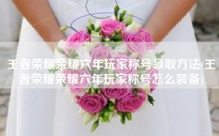 王者荣耀荣耀六年玩家称号领取方法(王者荣耀荣耀六年玩家称号怎么装备)