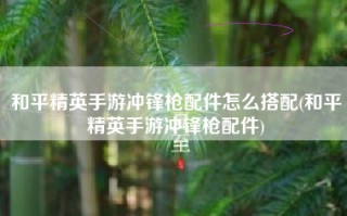 和平精英手游冲锋枪配件怎么搭配(和平精英手游冲锋枪配件)