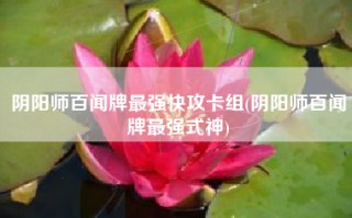 阴阳师百闻牌最强快攻卡组(阴阳师百闻牌最强式神)