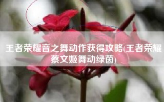 王者荣耀音之舞动作获得攻略(王者荣耀蔡文姬舞动绿茵)