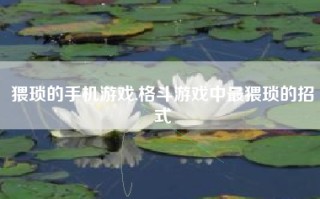 猥琐的手机游戏,格斗游戏中最猥琐的招式