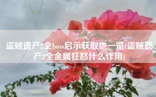 盗贼遗产2全boss启示获取地一览(盗贼遗产2全金属狂怒什么作用)