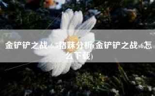 金铲铲之战s6.5猪妹分析(金铲铲之战s6怎么下载)