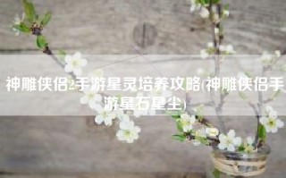 神雕侠侣2手游星灵培养攻略(神雕侠侣手游星石星尘)