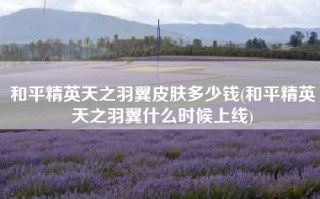和平精英天之羽翼皮肤多少钱(和平精英天之羽翼什么时候上线)