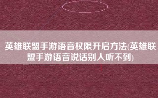 英雄联盟手游语音权限开启方法(英雄联盟手游语音说话别人听不到)