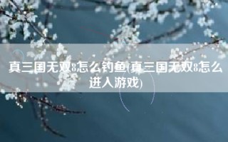 真三国无双8怎么钓鱼(真三国无双8怎么进入游戏)