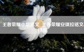 王者荣耀小炮铭文_王者荣耀安琪拉铭文搭配