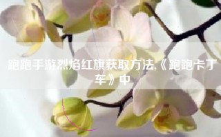 跑跑手游烈焰红旗获取方法,《跑跑卡丁车》中